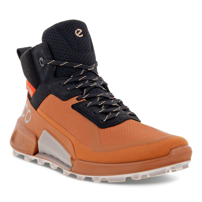 Damen Outdoor-Schuhe Ecco BIOM 2.1 X MTN W MID GTX