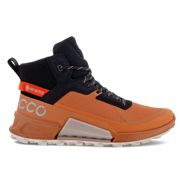 Damen Outdoor-Schuhe Ecco BIOM 2.1 X MTN W MID GTX