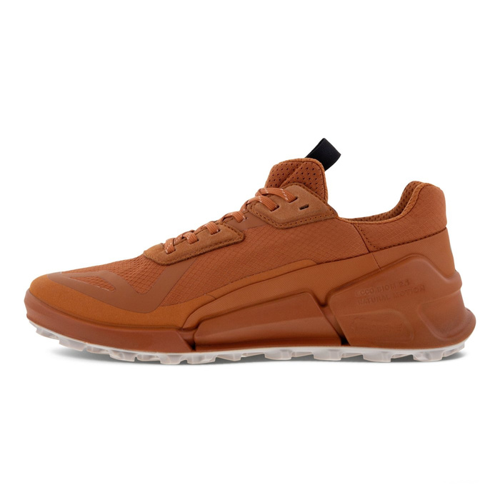 Damen Outdoor-Schuhe Ecco BIOM 2.1 X CTRY W LOW GTX
