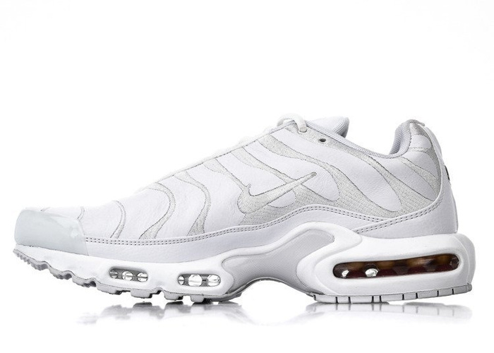 Nike Air Max Plus (AJ2029-100)