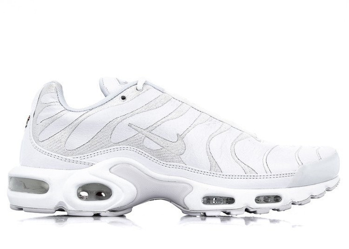 Nike Air Max Plus (AJ2029-100)