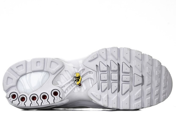 Nike Air Max Plus (AJ2029-100)