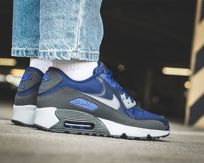 Nike Air Max 90 Mesh GS (833418-404)