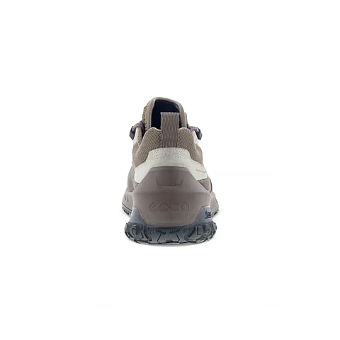 Herren Outdoor-Schuhe Beige ECCO ULT-TRN W LOW WP 