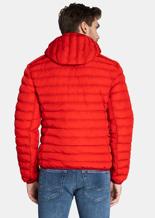 Daunenjacke für Herren Lacoste (BH1930-240)