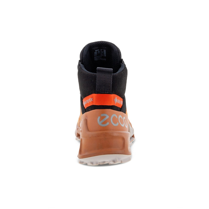 Damen Outdoor-Schuhe Ecco BIOM 2.1 X MTN W MID GTX
