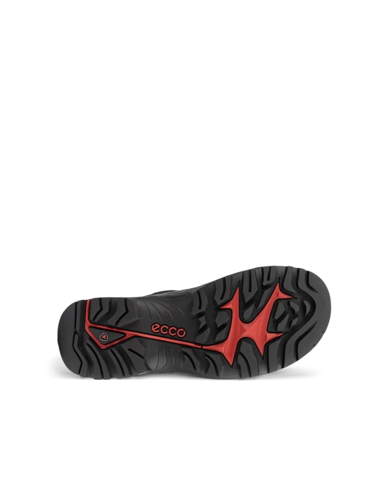 Herren Trekkingschuhe ECCO OFFROAD M SHOE LEA