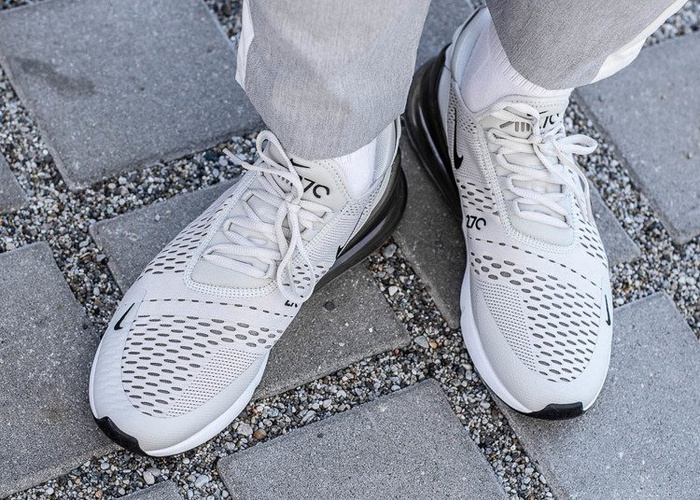 Nike Air Max 270 (AH8050-007)