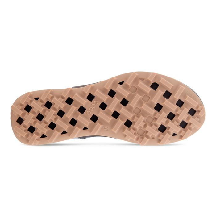 Damen Outdoor-Schuhe Ecco BIOM 2.1 X MTN W MID GTX