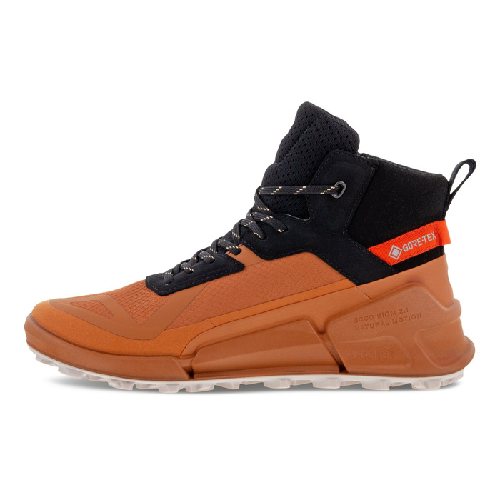 Damen Outdoor-Schuhe Ecco BIOM 2.1 X MTN W MID GTX
