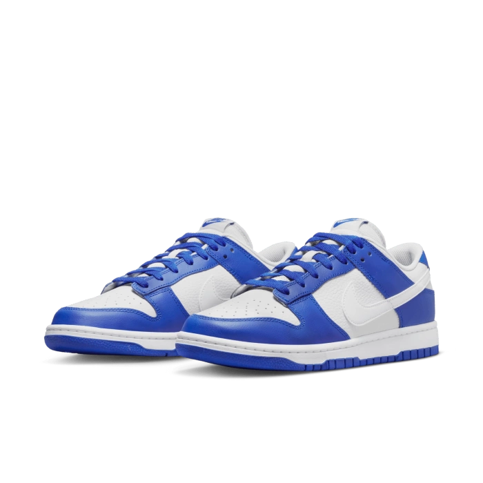 Nike Dunk Low Retro Herren Sneaker
