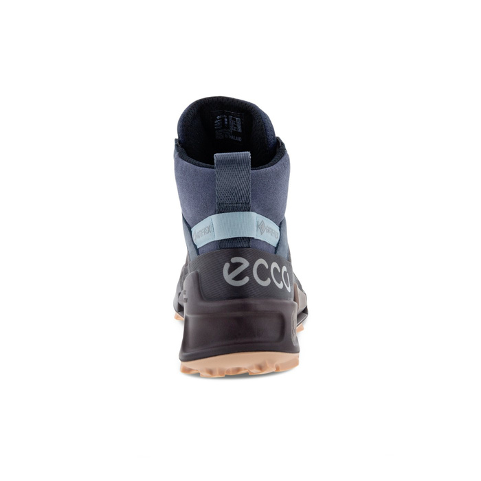 Damen Outdoor-Schuhe Ecco BIOM 2.1 X MTN W MID GTX