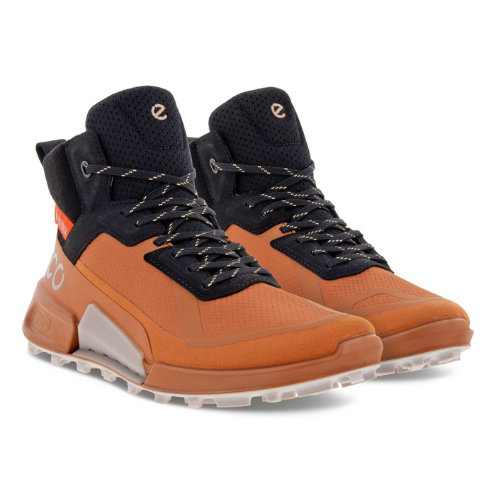 Damen Outdoor-Schuhe Ecco BIOM 2.1 X MTN W MID GTX