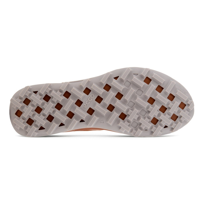 Damen Outdoor-Schuhe Ecco BIOM 2.1 X CTRY W LOW GTX
