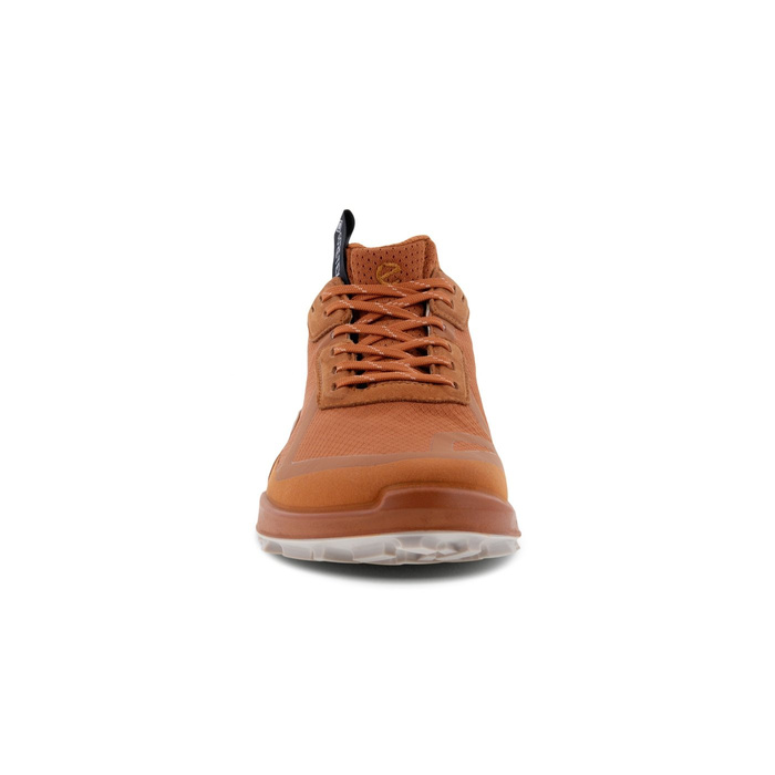 Damen Outdoor-Schuhe Ecco BIOM 2.1 X CTRY W LOW GTX
