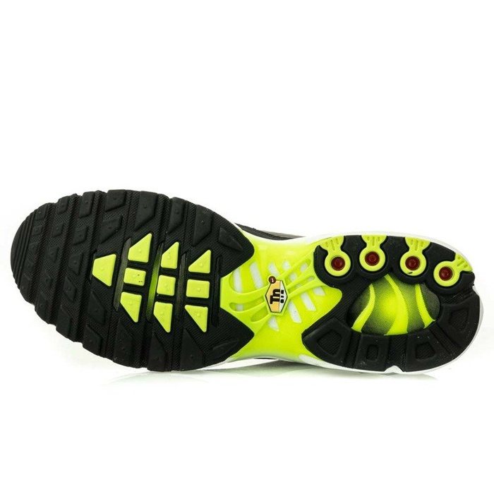 Nike Air Max Plus Tn SE (CI7701-700)