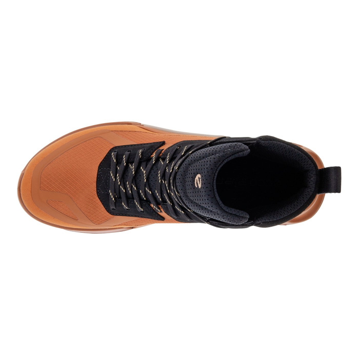 Damen Outdoor-Schuhe Ecco BIOM 2.1 X MTN W MID GTX