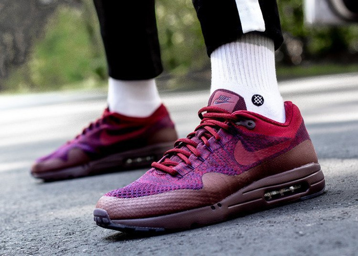 Nike Air Max 1 Ultra Flyknit (856958-566)